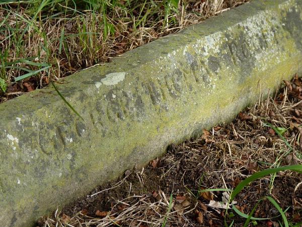 Grave photo